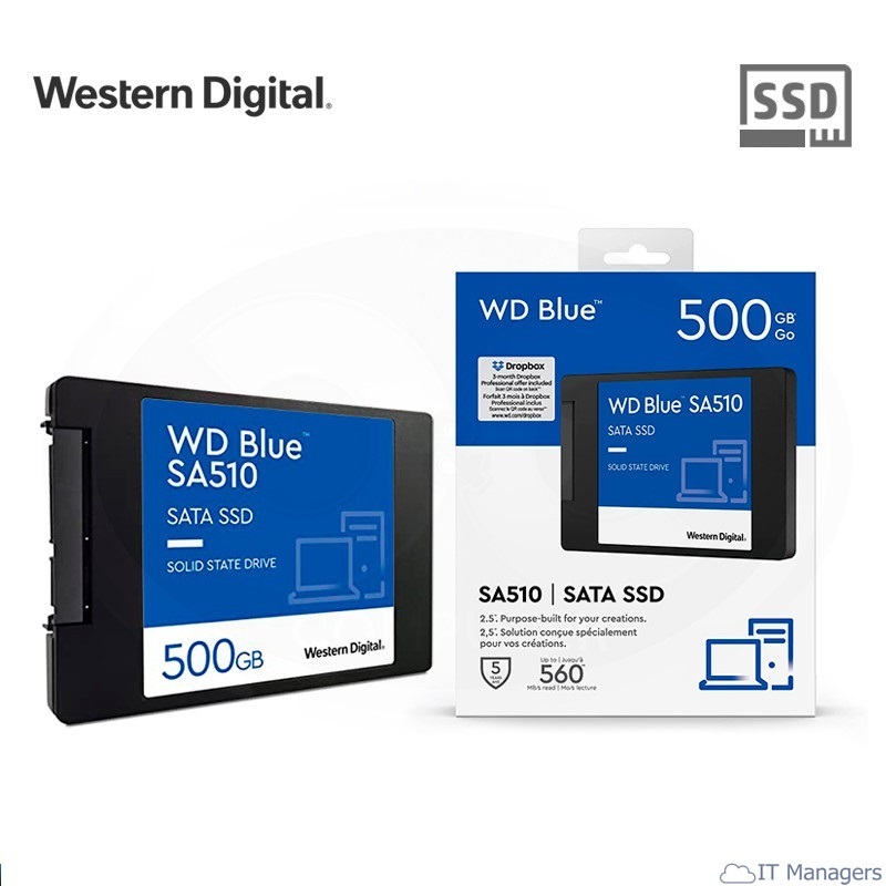 Western Digital Blue 500 Go 2.5 Solid State Drive